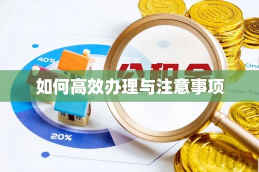 翠峦如何高效办理与注意事项