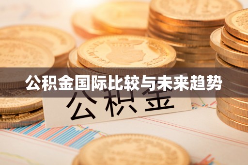 翠峦公积金国际比较与未来趋势