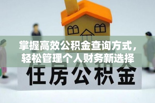 翠峦掌握高效公积金查询方式，轻松管理个人财务新选择