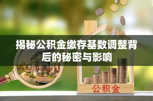 翠峦揭秘公积金缴存基数调整背后的秘密与影响