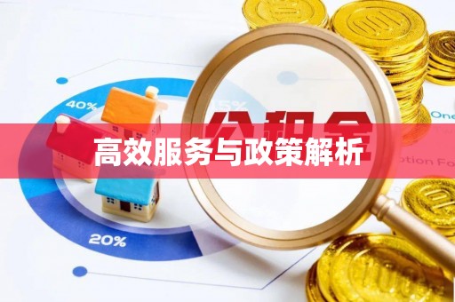 翠峦高效服务与政策解析