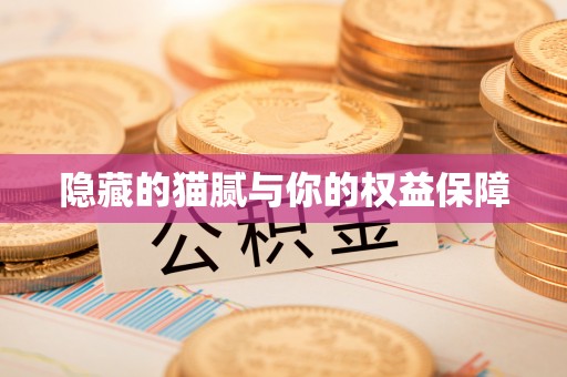 翠峦隐藏的猫腻与你的权益保障