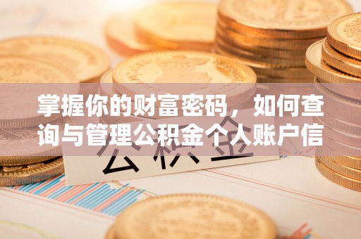 翠峦掌握你的财富密码，如何查询与管理公积金个人账户信息