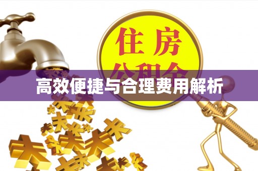 翠峦高效便捷与合理费用解析