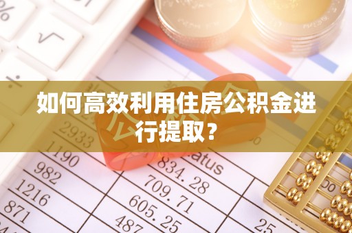 翠峦如何高效利用住房公积金进行提取？