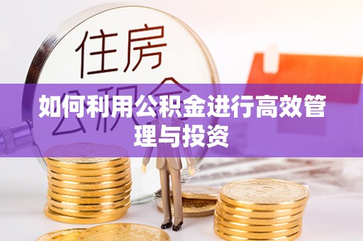 翠峦如何利用公积金进行高效管理与投资