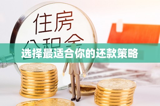 翠峦选择最适合你的还款策略